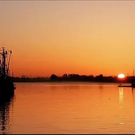 Katinka * Krummhörn