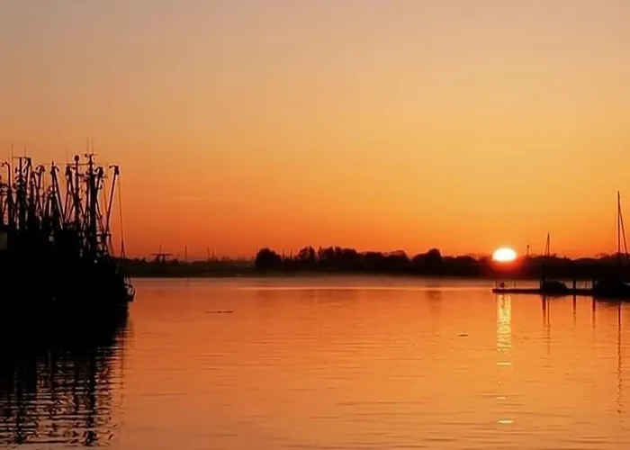 Katinka * Krummhörn