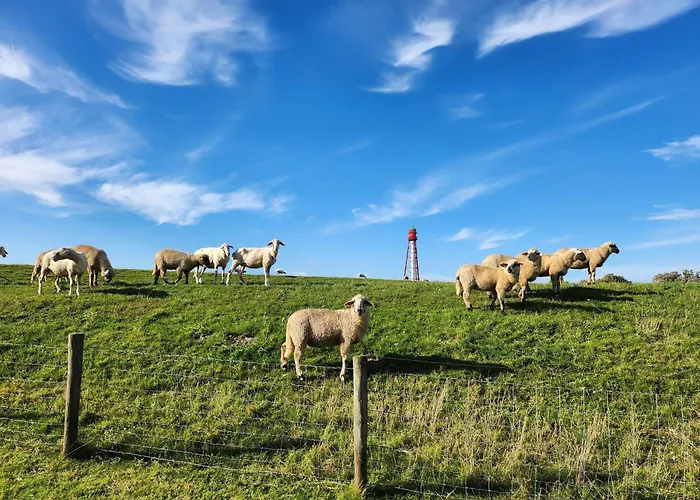 Katinka Feriehus Krummhörn